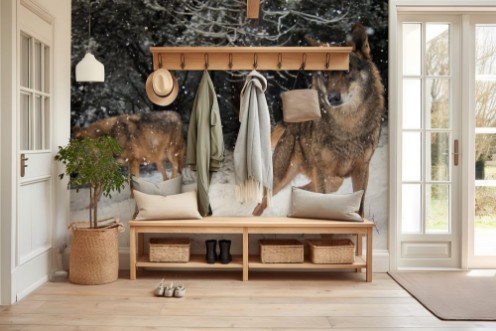 Picture of Wolves in the snow in winter