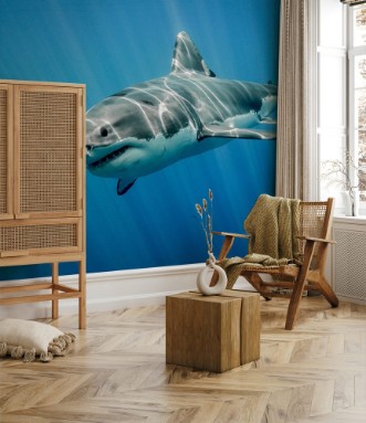 Afbeeldingen van Great white shark and sun rays