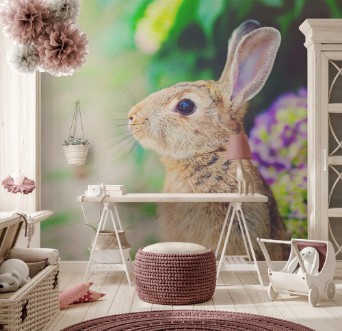 Picture of Rabbit in front of a hydrangea bush