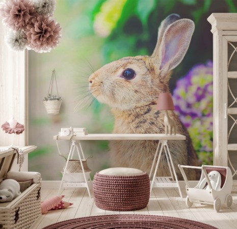 Picture of Rabbit in front of a hydrangea bush