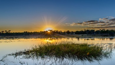 Ritratt ta’ Okavango sunset