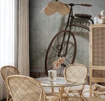 Image de Historical bicycle by the wall