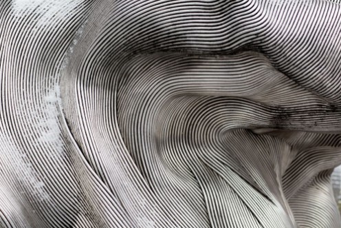 Picture of Background texture of the shining metal surface The curved plate is made of iron