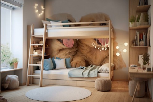 Picture of Fluffy Chow-chow puppy