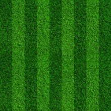 Poza cu Football Field Stripes
