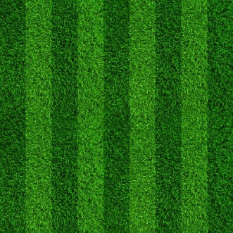 Image de Football Field Stripes