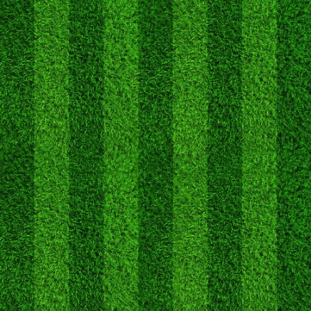 Picture of Football Field Stripes