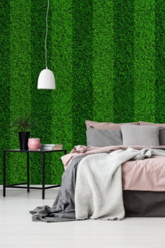 Image de Football Field Stripes