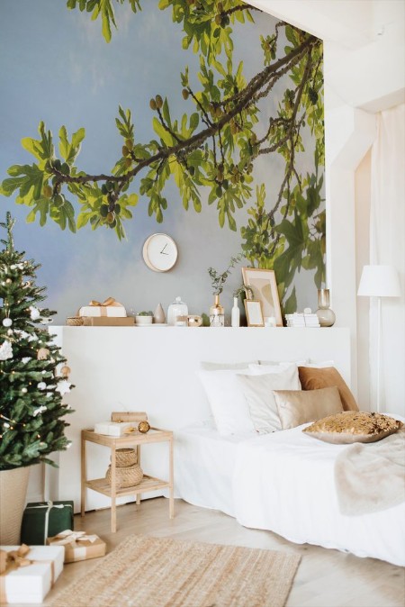 Picture of Green fig fruits on branches 