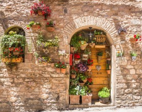 Picture of Elegante porta di legno con vasi di fiori