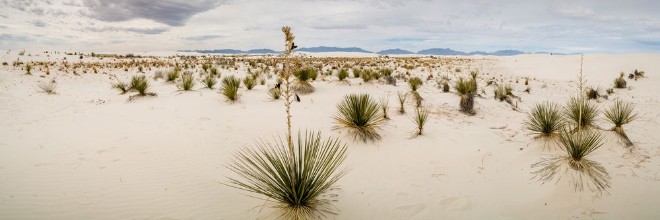 Pilt New Mexico Landscapes