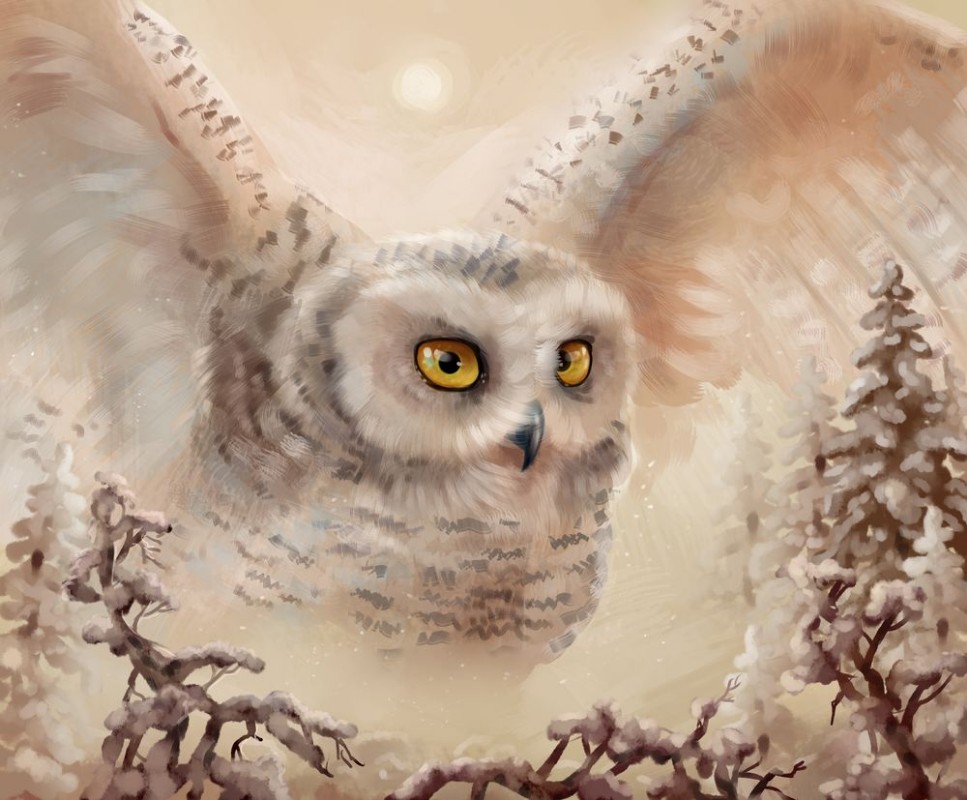 Afbeeldingen van 105353360