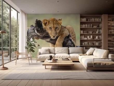 Picture of Young lion hanging out