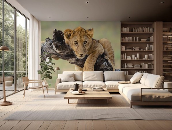 Picture of Young lion hanging out