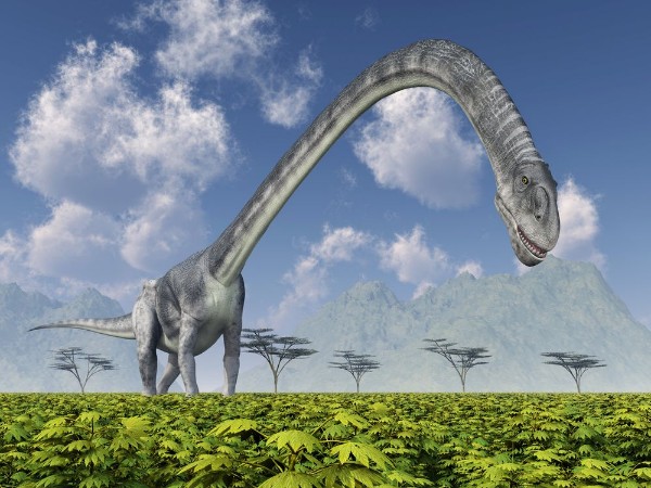 Ritratt ta’ Dinosaur Omeisaurus