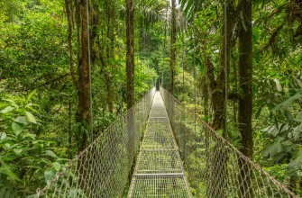 Bild på Hanging bridge in Costa Rica