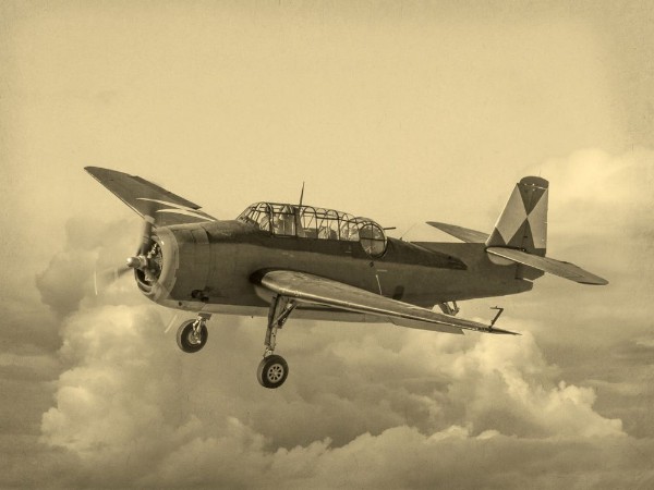 Picture of Vintage Style image of World of American War 2 Torpedo bomber First saw combat in 1942