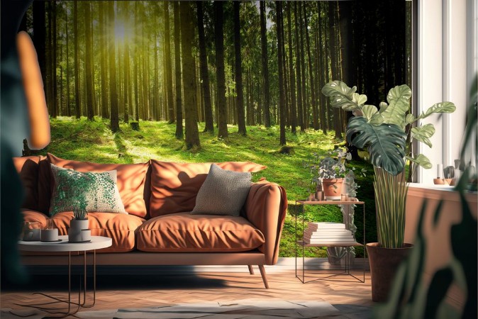 Picture of Sunlight in the green forest