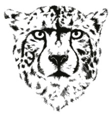 Bild von Cheetah head