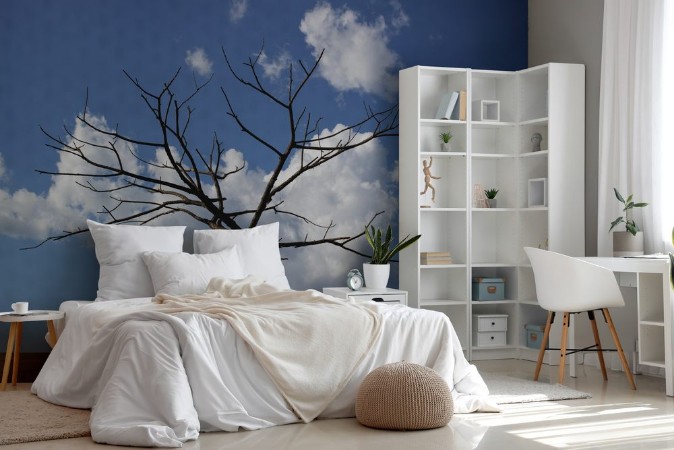 Picture of Dry tree branches against blue sky