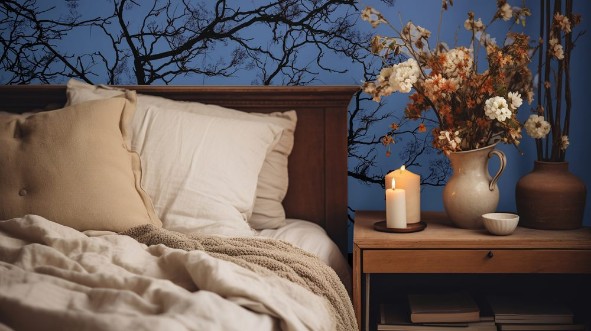 Picture of Naked branches of a tree against  sky close up