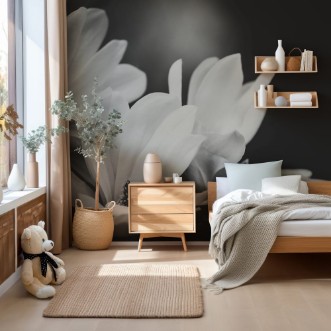 Image de Magnolia flower on a black background