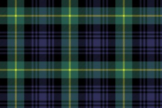 Bild von Gordon tartan fabric texture seamless pattern