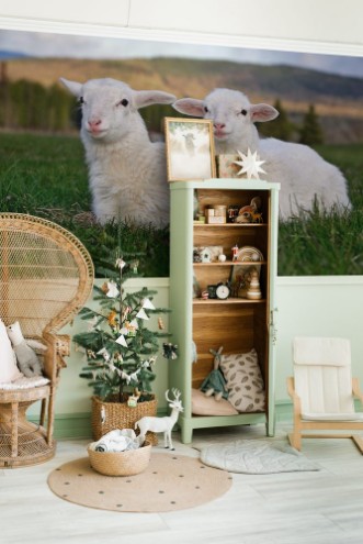 Afbeeldingen van Two Sheep sitting together in meadow