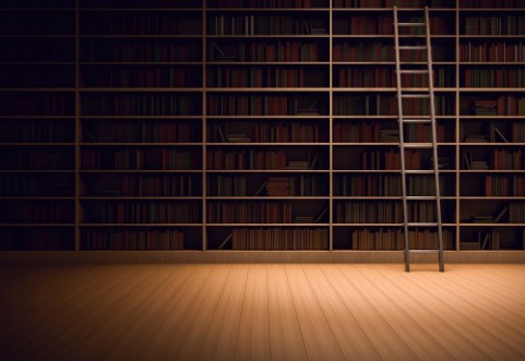 Picture of Library room with ladder