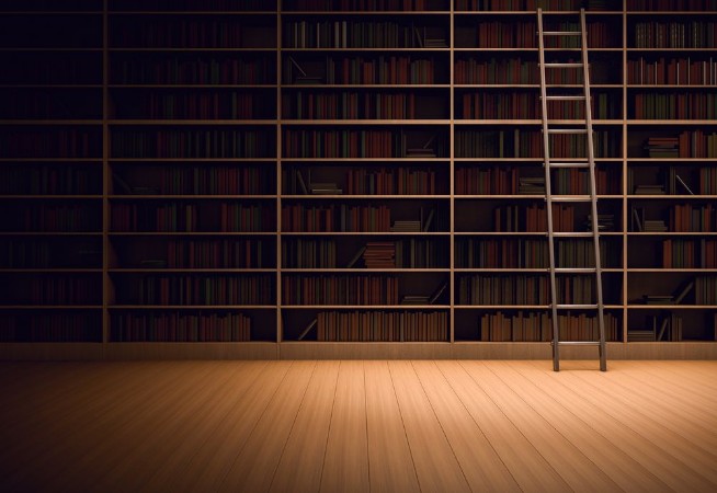 Afbeeldingen van Library room with ladder
