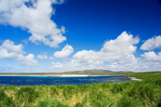 Bild von Falklands Landscape