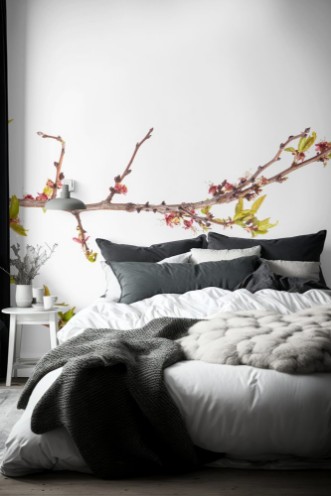 Image de Branche d'abricotier