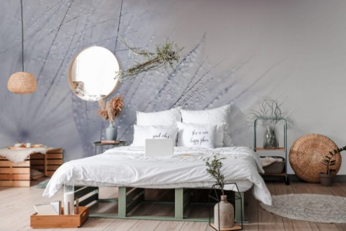 Picture of Plant seeds with water drops