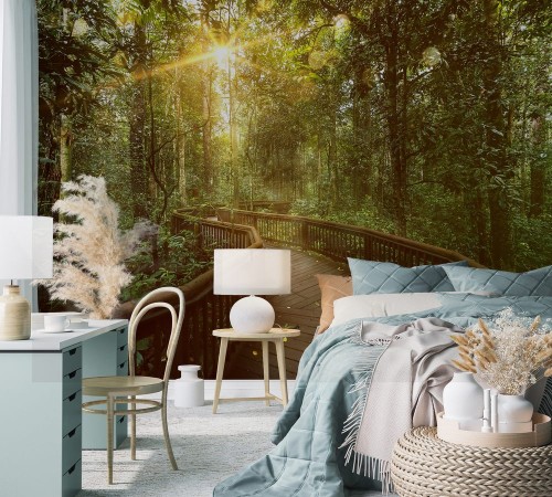 Picture of Steg fhrt durch Regenwald