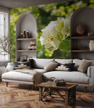 Image de Spring tree