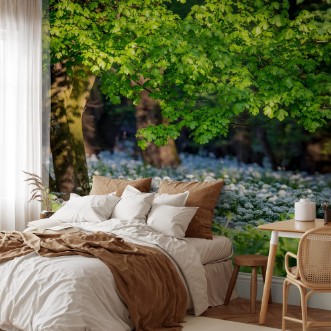 Picture of Spring  s still life detail