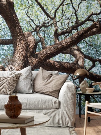 Picture of Details of green leaf and branch tree foliage background