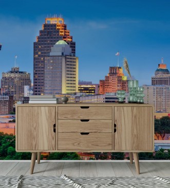 Picture of San Antonio Skyline