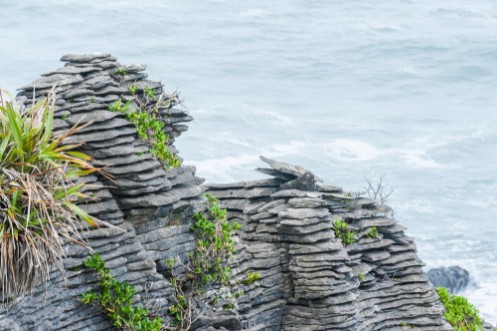 Afbeeldingen van Pancake rock