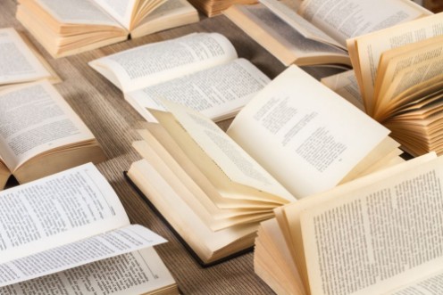 Picture of Bøker i biblioteket