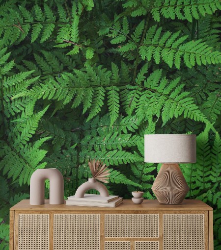 Picture of Green fern
