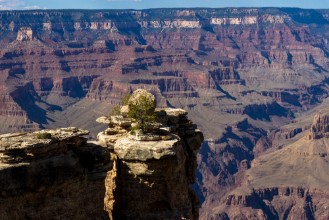 Picture of Grand Canyon National Park South Rim