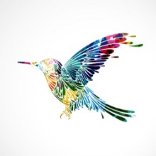 Attēls Oiseau colorcolibri