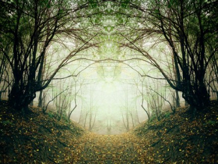 Picture of Surreal forest path