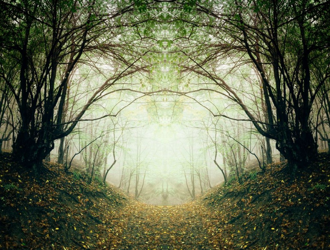 Afbeeldingen van Surreal forest path