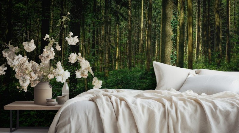 Picture of Sous bois avec un arbre sous la lumire