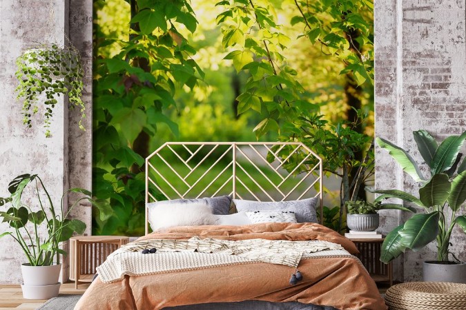 Picture of On the Path