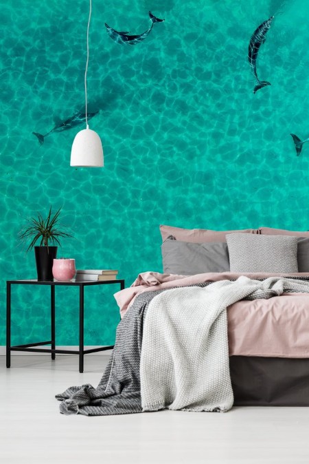 Picture of Pacific Laggon