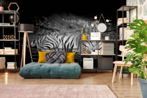 Afbeeldingen van Black  White Tiger