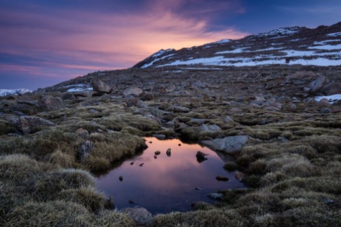 Picture of Auringonnousu tundralla